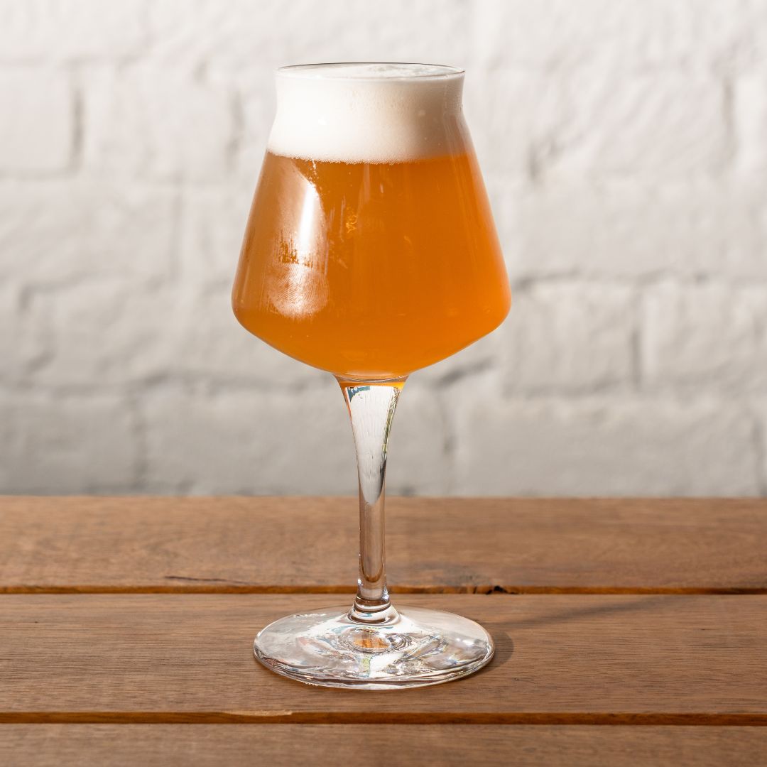 Fruited Gose